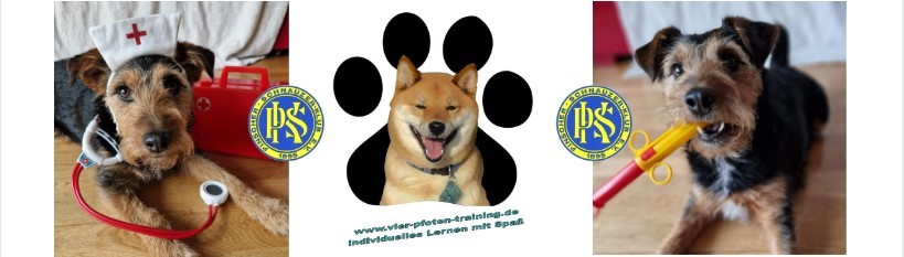 hundeseminar